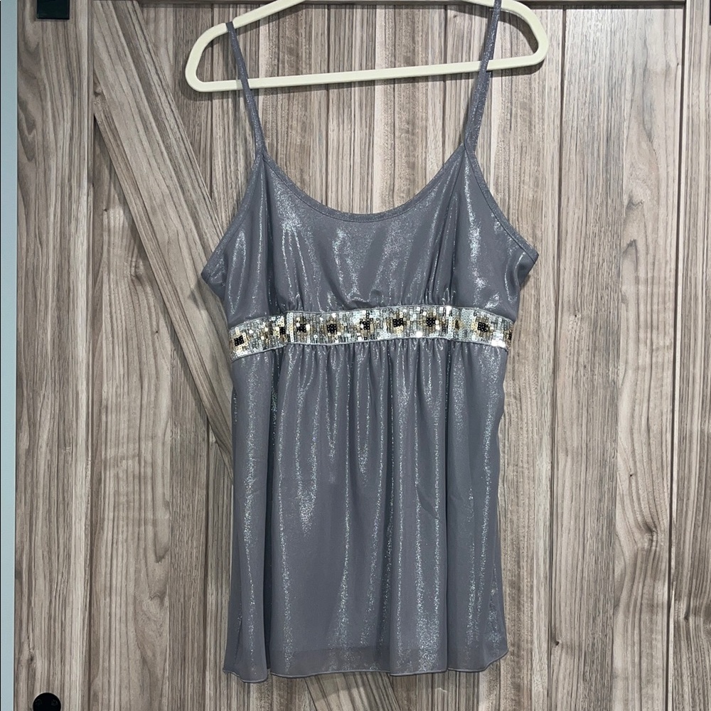 Shimmering Gray Sleeveless Top - Size 2XL